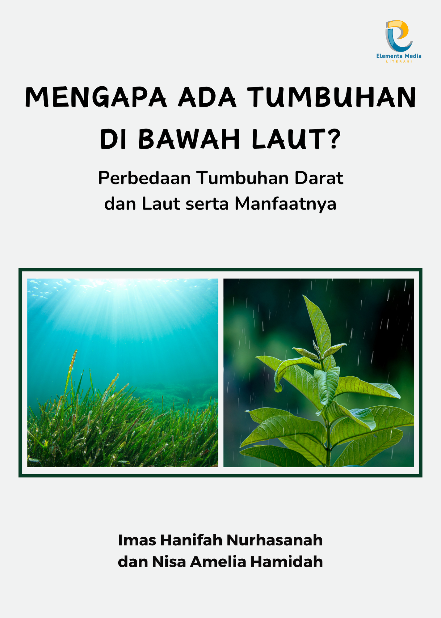Mengapa Ada Tumbuhan di Bawah Laut?:Perbedaan Tumbuhan Darat dan Laut serta Manfaatnya